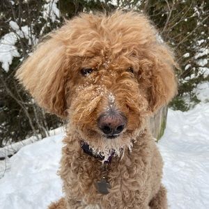 Meet your Posher, Heather